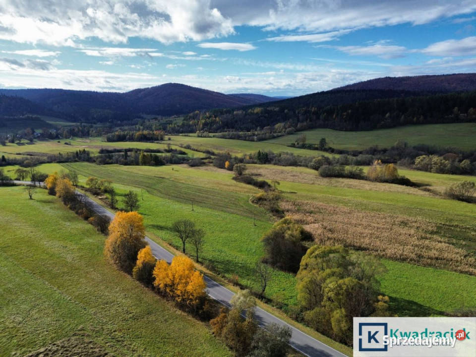 sprzedaży gruntu 587000m2 Daliowa