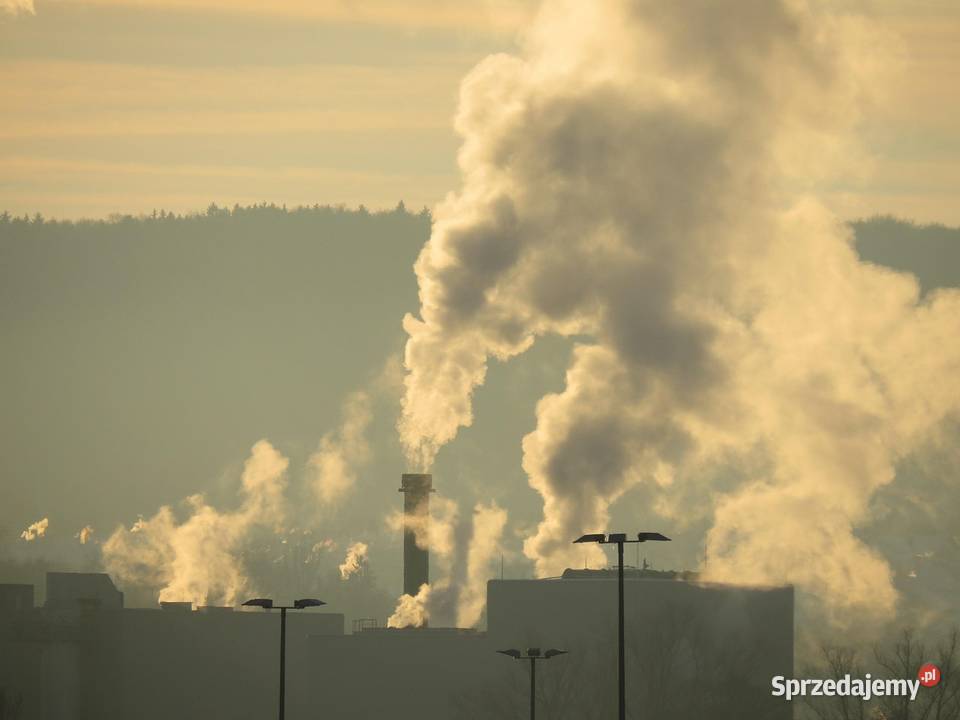 Raport Kobize Sandomierz Lubliniec Kościan dolnośląskie Wrocław