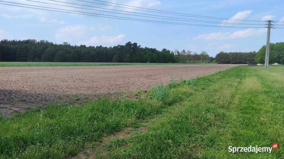 Sprzedam działki wielkopolskie Czeszewo