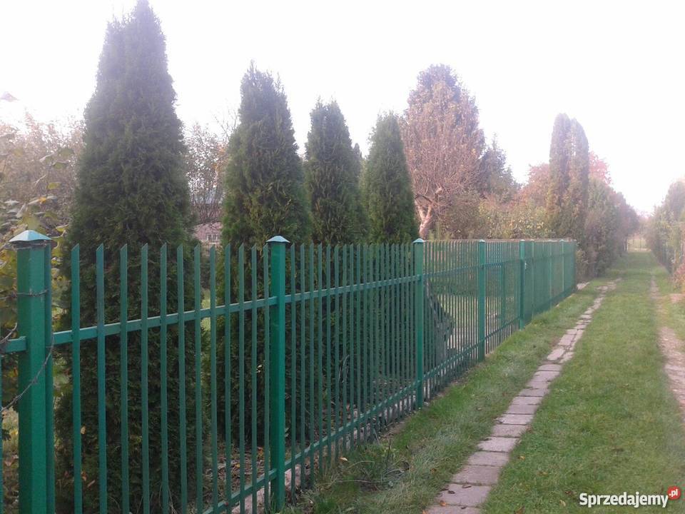 Sprzedam działkę w ROD AUGUSTOWKA 1 Mokotów 480 Warszawa