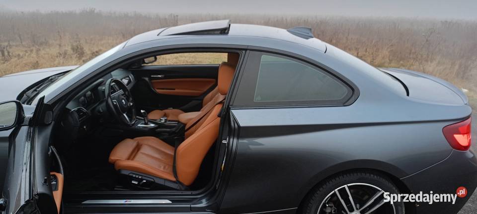 BMW 230i Msport Xdrive 252 super stan centralny zamek BMW podkarpackie Ropczyce