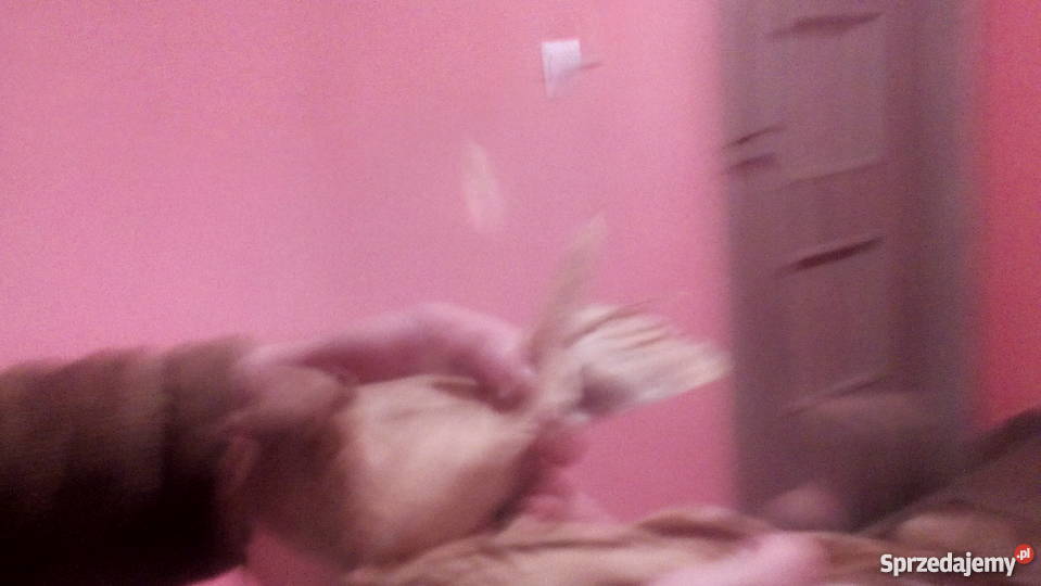 Gołembie ozdobne Tokarówka