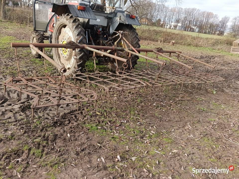 Brony lekkie 5 polowe wielkopolskie Wilkowyja