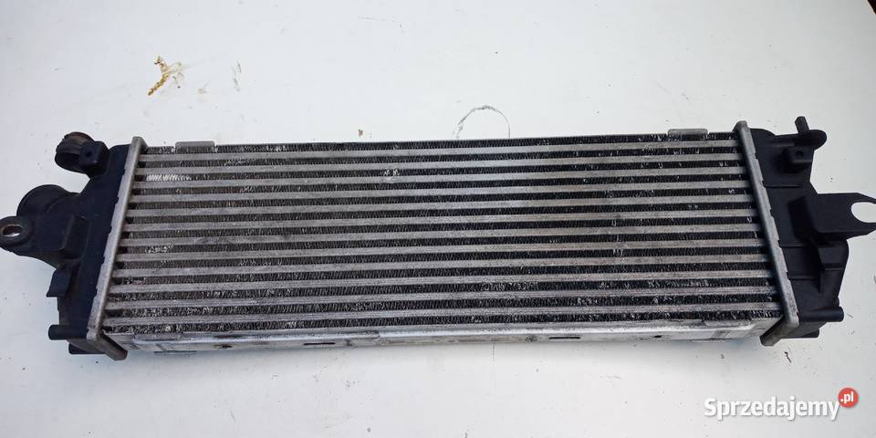 Renault Trafic II X83 Chłodnica powietrza Krzeszowice