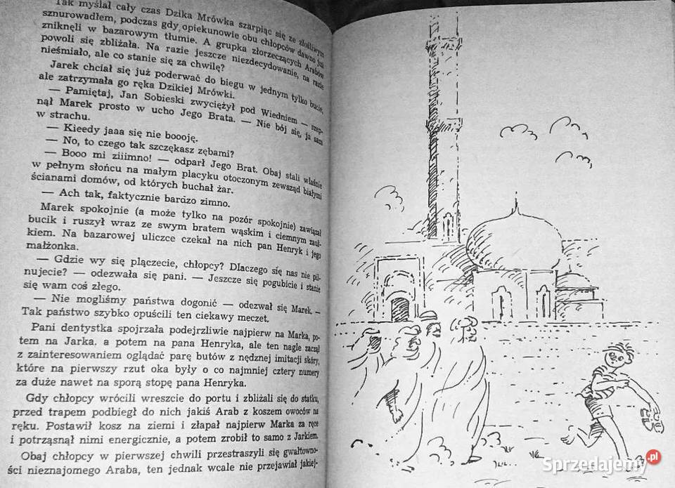 Dzika Mrówka i tam tamy Andrzej Perepeczko Chełm