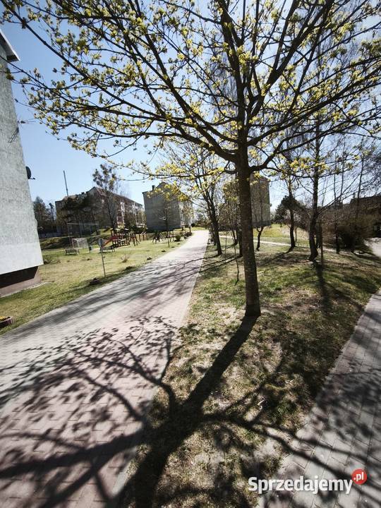 sprzedaż mieszkanie 2pokojowe do własnej Miastko sprzedam