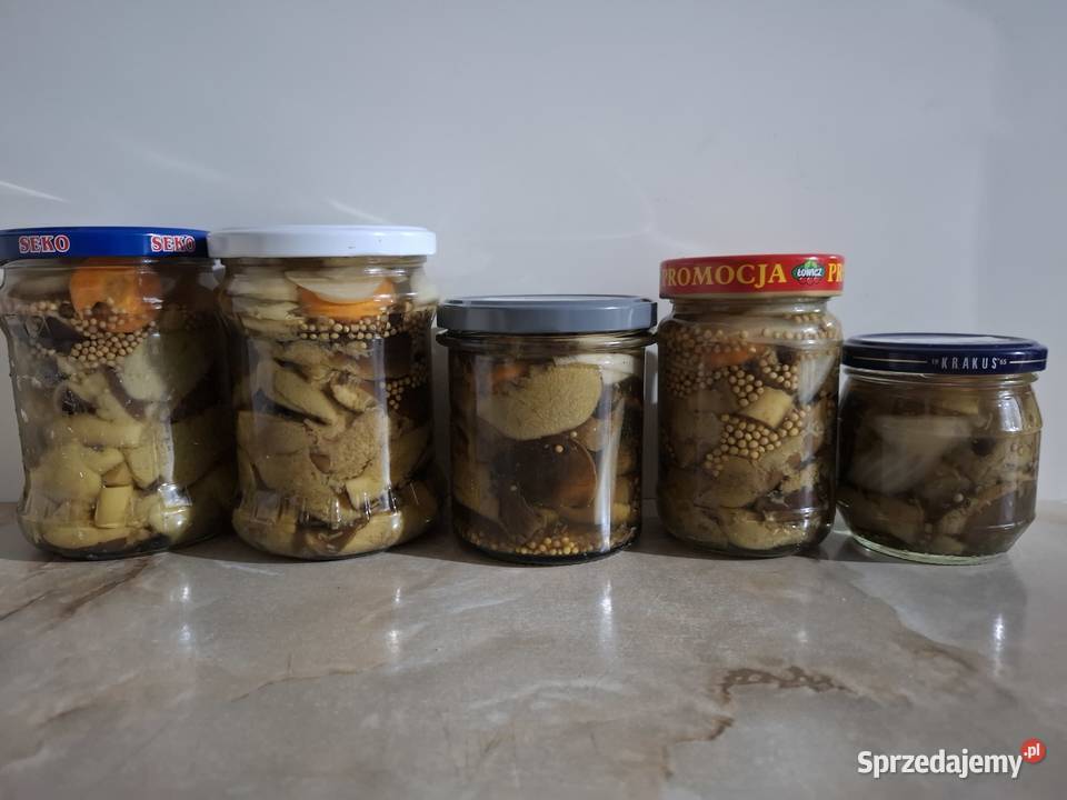 Koźlarzekozaki maślaki zajączki marynowane w