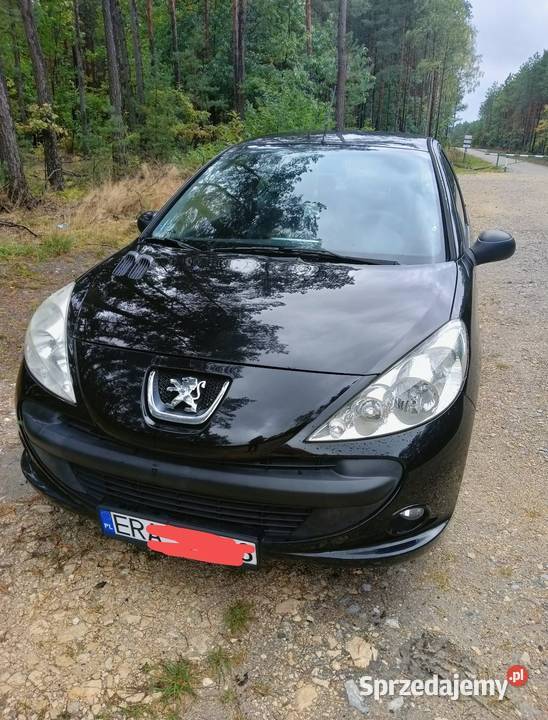 Peugeot 206plus