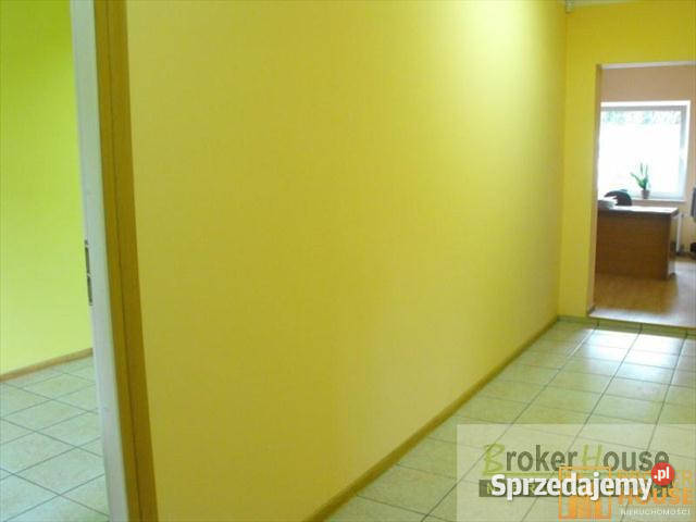 Lokal Opole 722m2