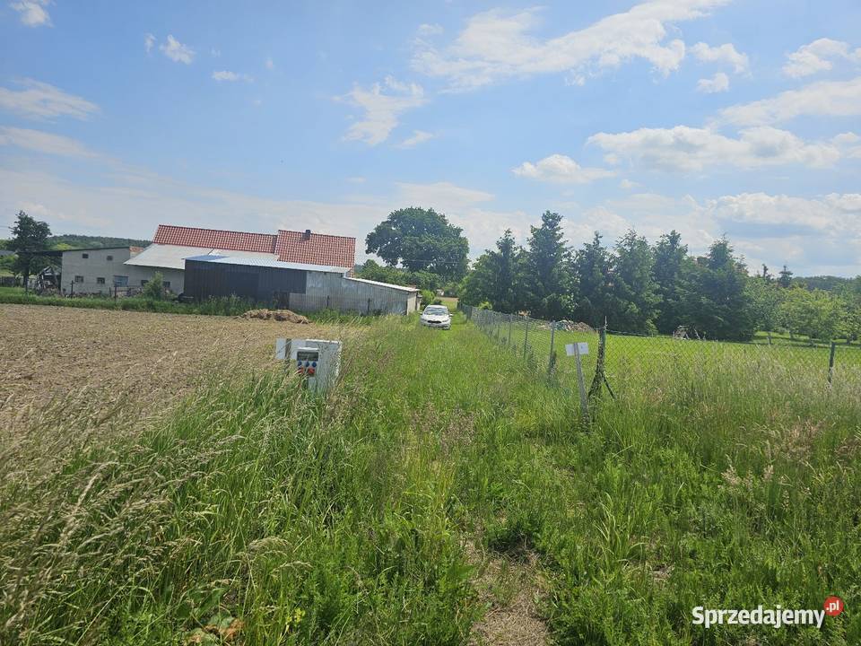 Domek na działce 20 arowej 2000m2 dolnośląskie Osłowice sprzedam