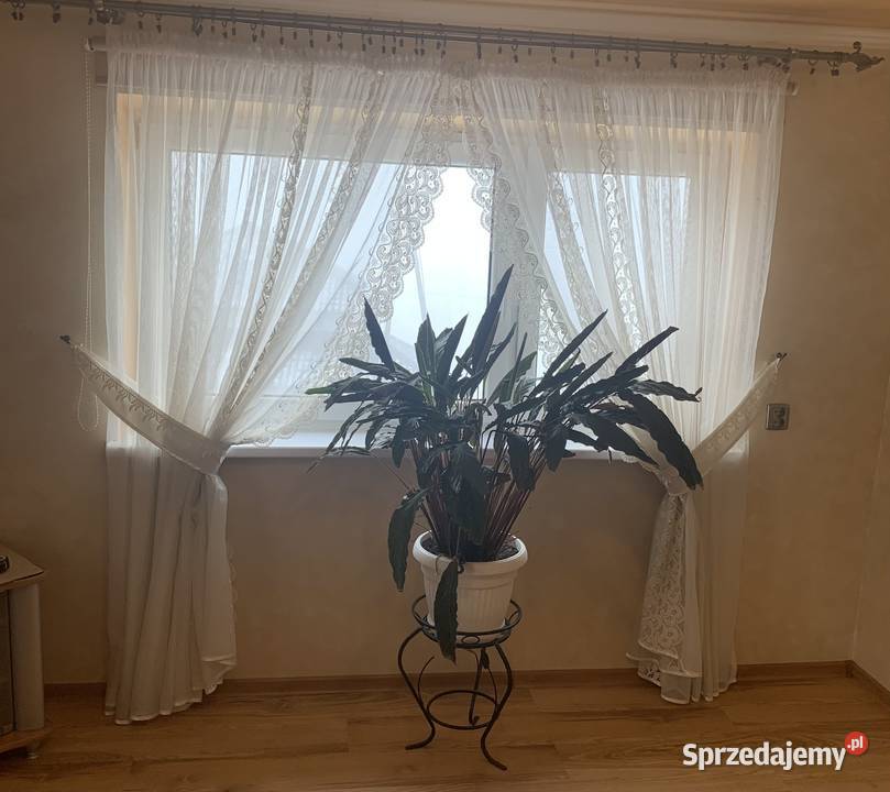 Firanka gotowa Rabka-Zdrój