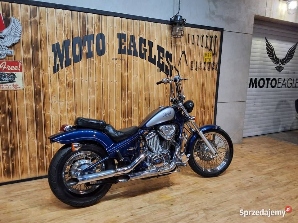 Honda Shadow HONDA XLV 600 STEED limitowana wielkopolskie Stare Miasto sprzedam