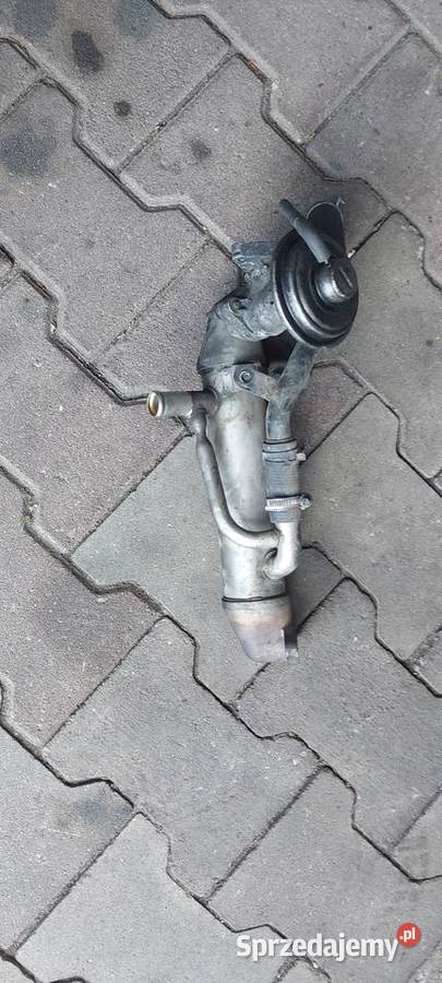 Chłodnica spalin EGR FORD MONDEO MK3 1C1Q9F464AD osobowe Szczecin