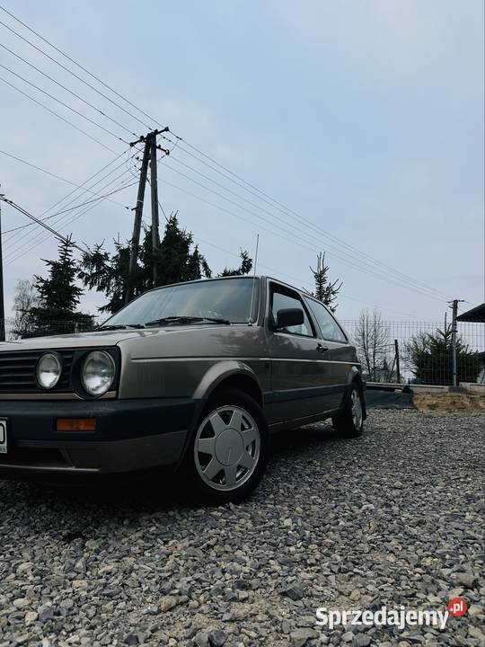 Golf 2 18 Niedźwiedź