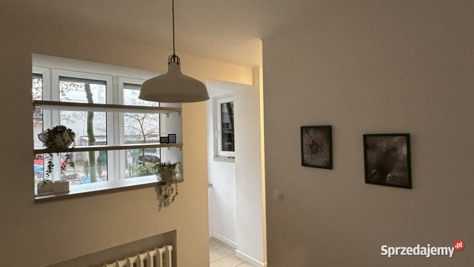 Wynajmę mieszkanie Katowice sprzedam