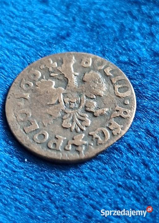 Szeląg Jan II Kazimierz koronny 16591668 Numizmatyka Wejherowo