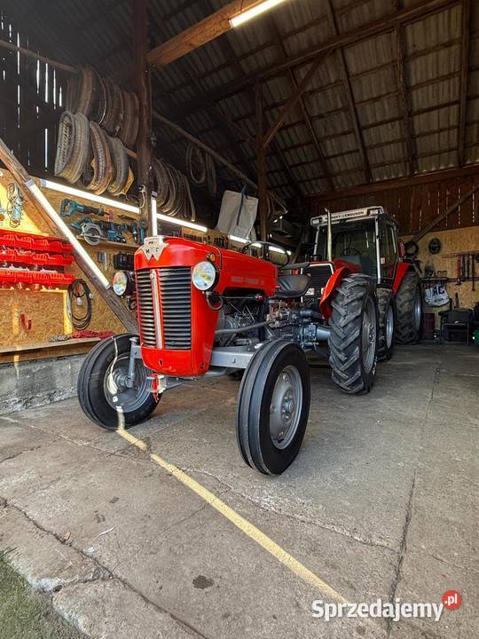 Ferguson 825 zarej mth 30 1960r