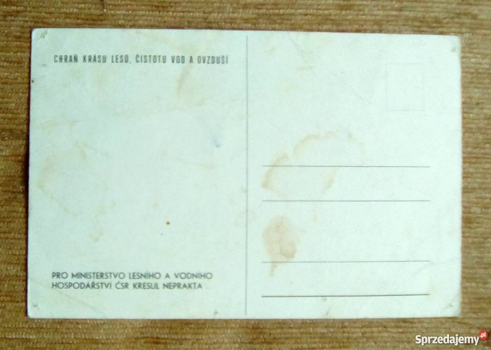 CZESKI HUMOR W TLE Z BAŁWANEM Piszczac