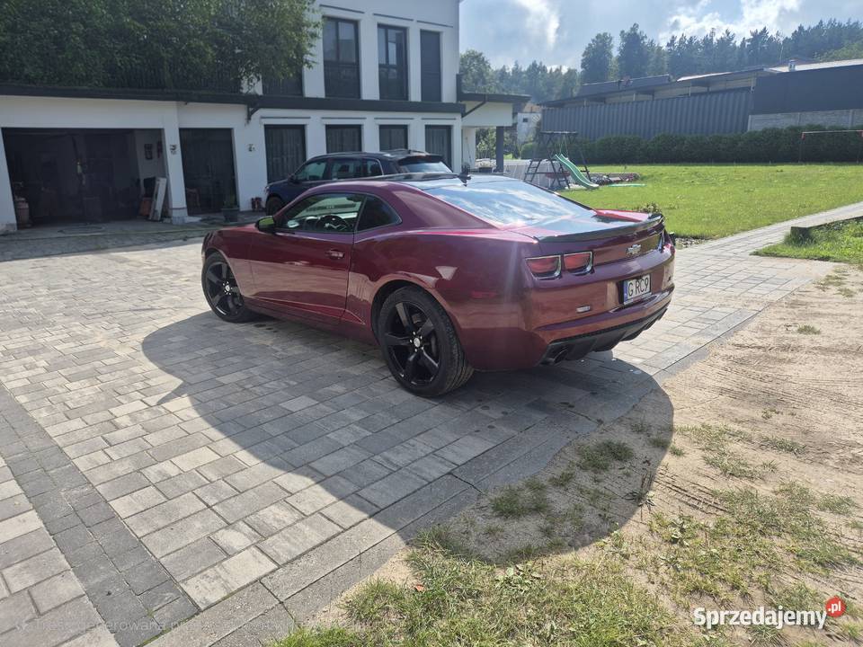 Chevrolet Camaro SS 62 nieuszkodzony Sulmin