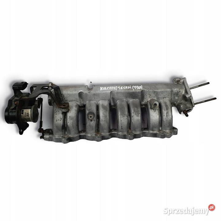 KOLEKTOR SSACY Kia Ceed 16 CRDI 283202A400 lubelskie Chełm