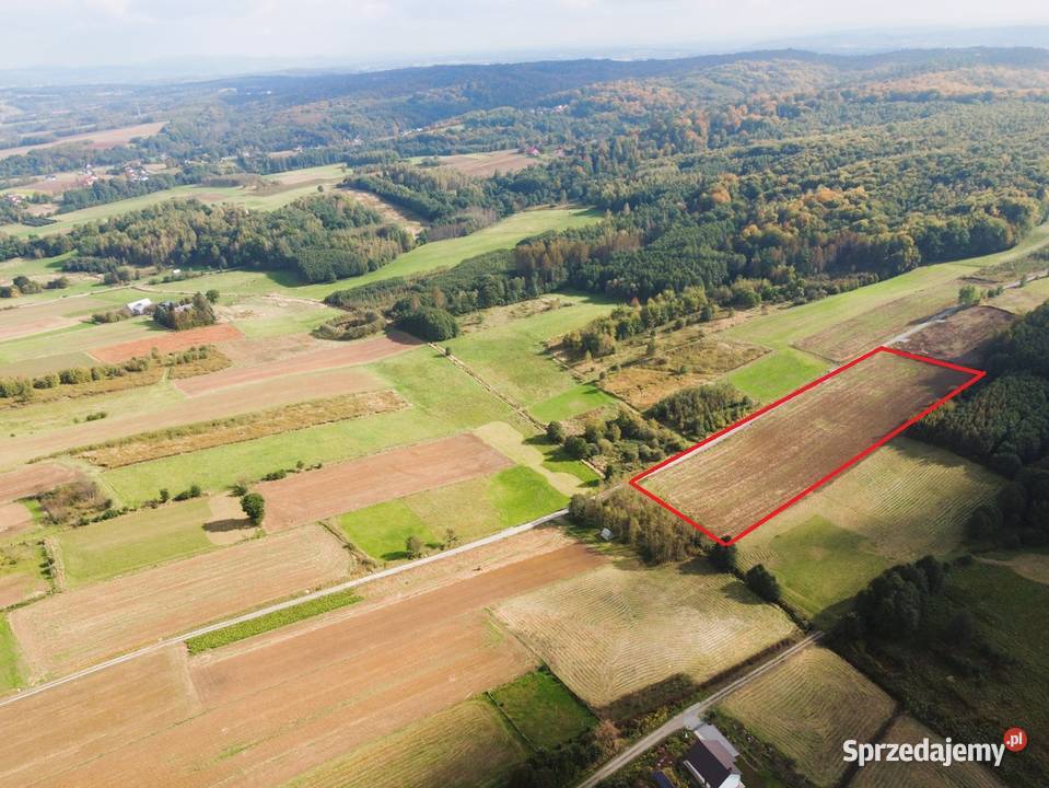 Działka z WZ Sieklówka 120 ar 12000m2 Sprzedaż