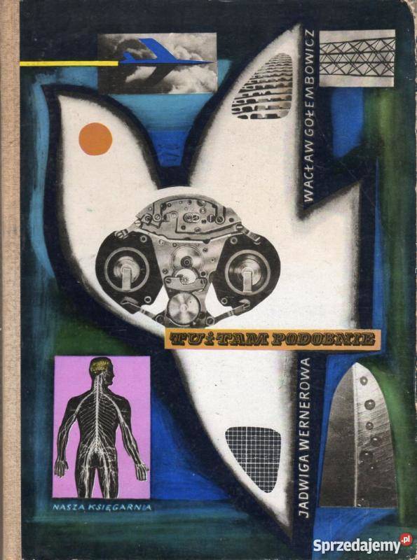 TU I TAM PODOBNIE GOŁEMBOWICZ WERNEROWA lubelskie Zamość