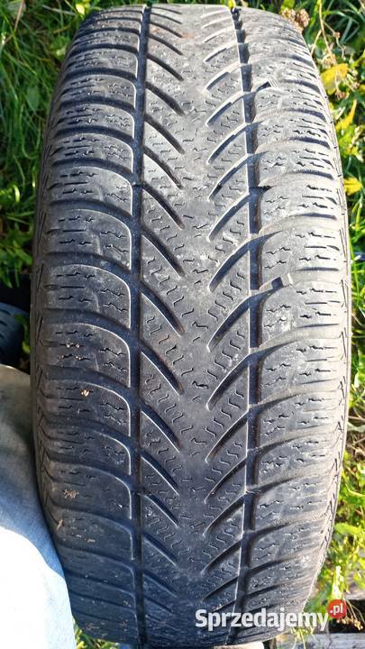 Koła z oponami zimowymi Nissan Qashqai J10 lift Brodnica