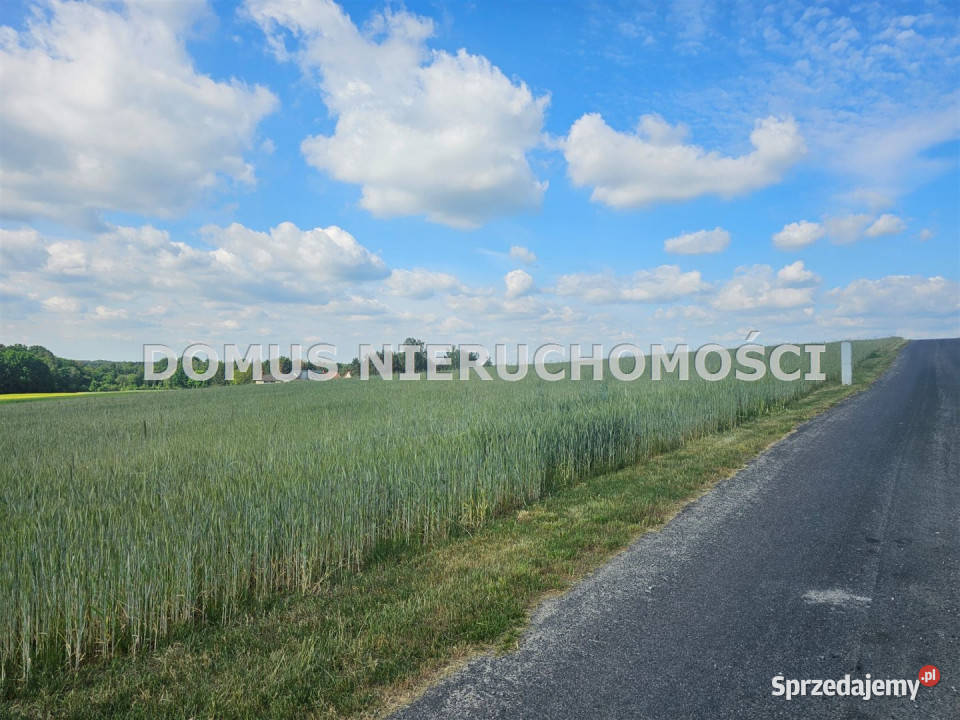 sprzedaży gruntu Tworzyjanki 3000m2