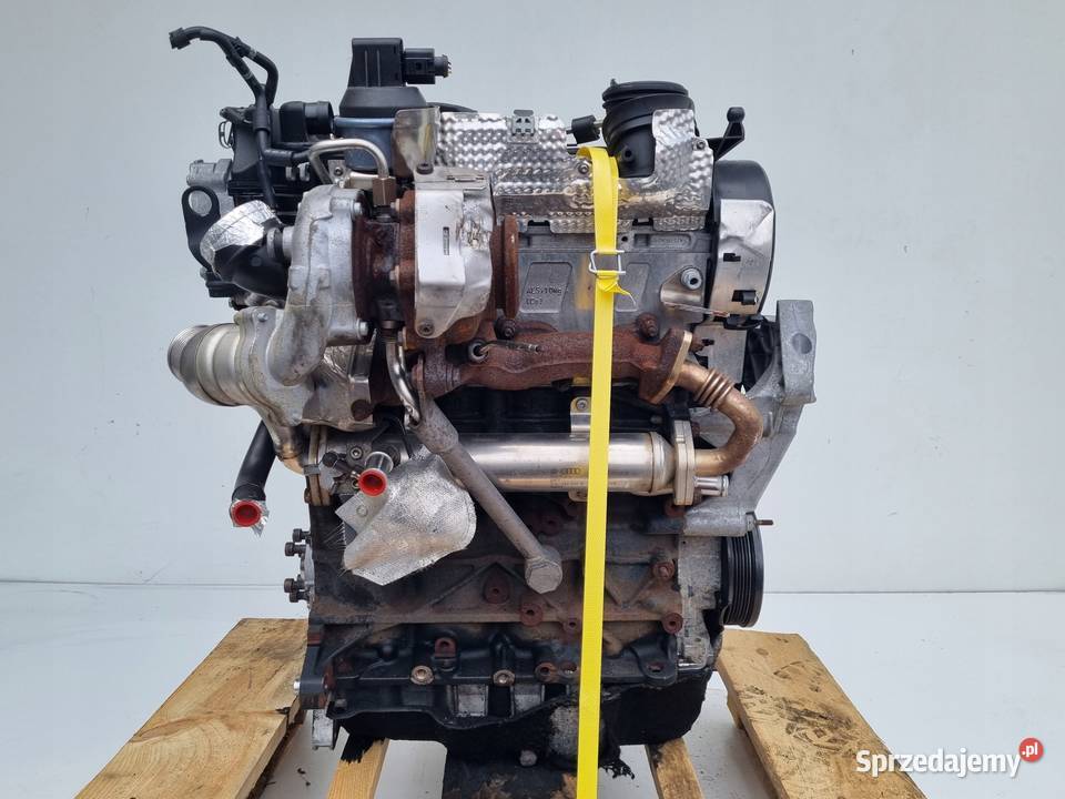 SILNIK KOMPLET Audi A3 II 8P 20 TDI 140 lubelskie Janów