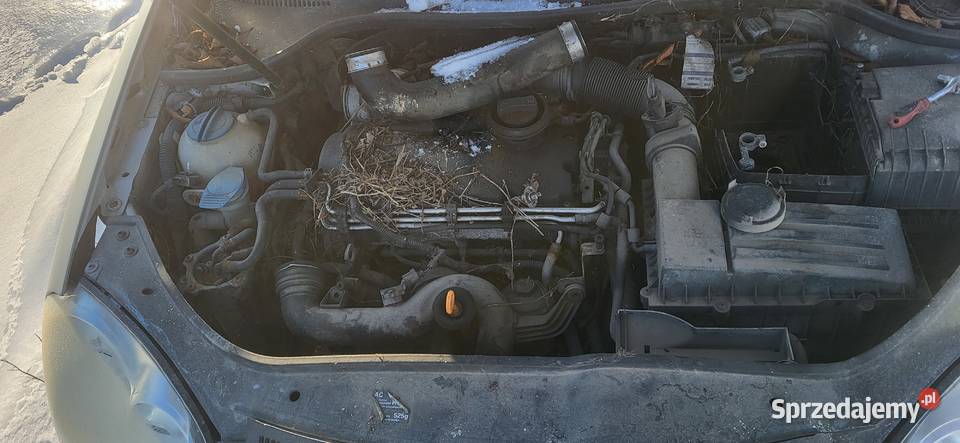 Sprzedam samochód osobowy marki Volkswagen Golf Warszawa sprzedam