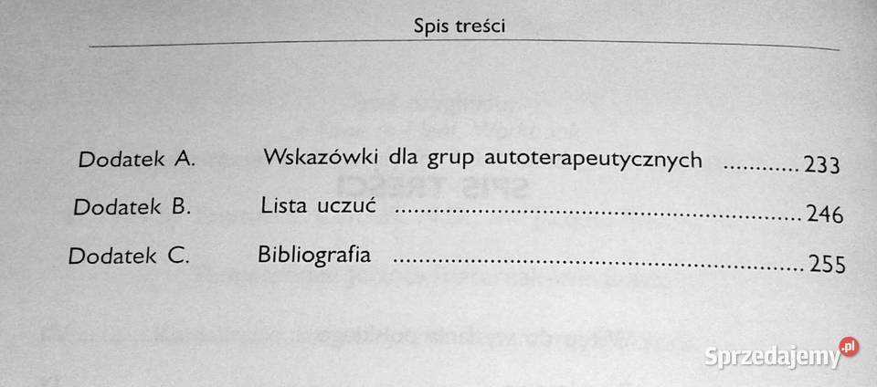 Czas uzdrowić swoje życie Timmen L Cermak Chełm