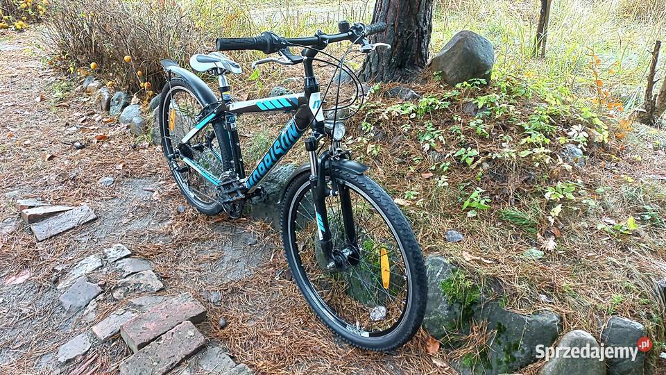 Alu Rower Górski Atb Młodzieżowy Morrison Beaver