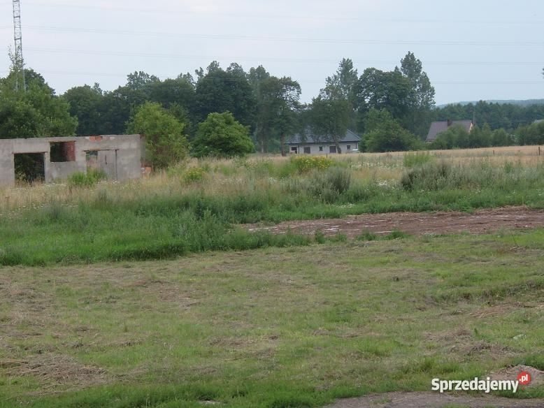 ferma drobiu kurnik kurniki hala produkcyjna Sławno