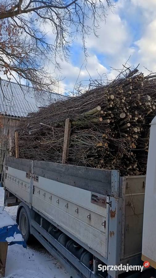 Faszyna leśna kiszka faszynowaKolki