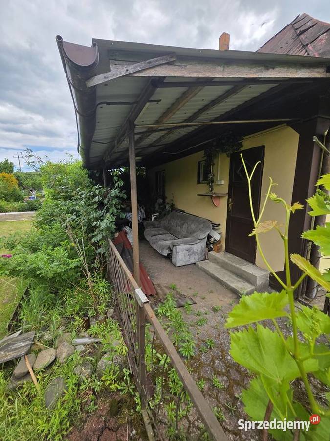 Sprzedam działkę ROD w Sierakowie koło Sprzedaż Sieraków