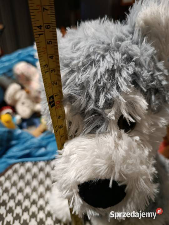 pies maskotka pluszak zabawka pluszowa sprzedam