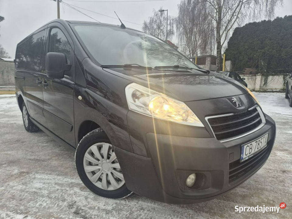 Peugeot Expert Brygadówka Automat Lang II 2007 komputer pokładowy Bydgoszcz