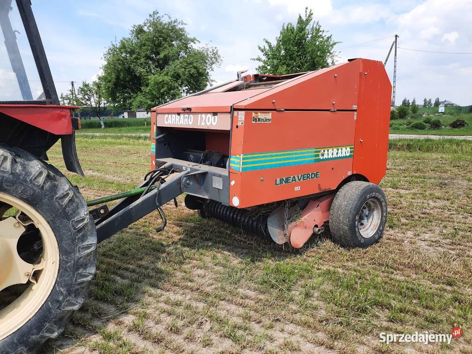 Prasa carraro 120x120 Bogate