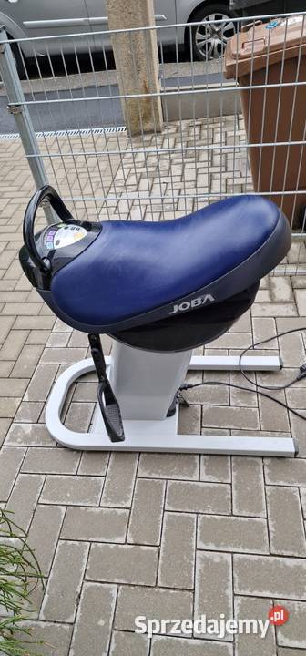 Panasonic Joba Hipoterapia Symulator jazdy Zielona Góra