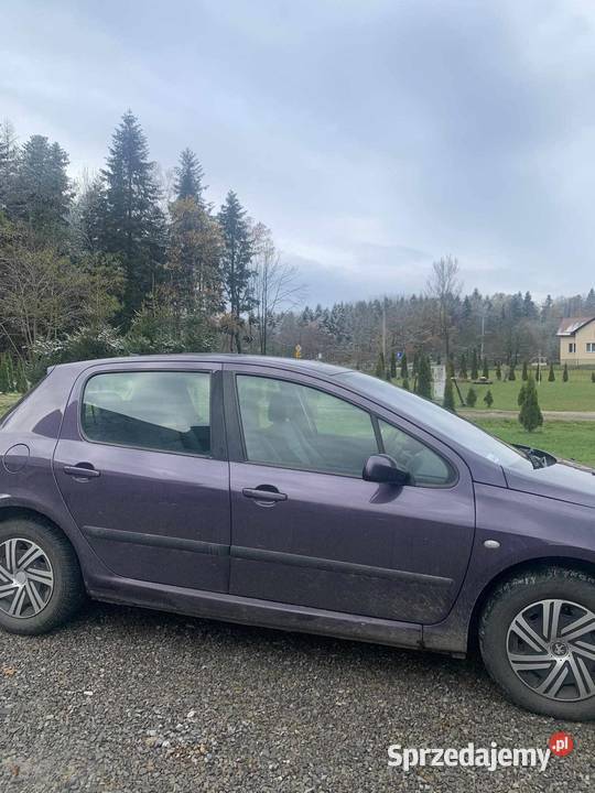 Peugeot 307 16 benzyna Gnojnica