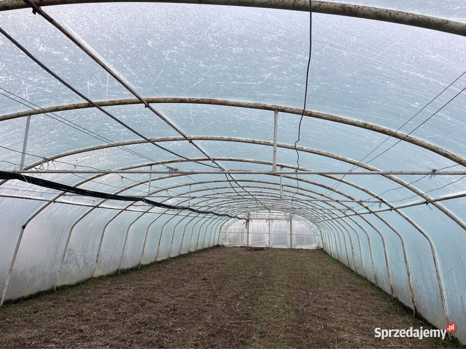 Tunel foliowy 30x7 Rolnictwo Kutno