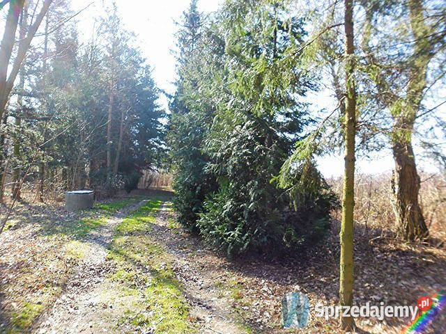 Ogłoszenie grunt Radom Marglowa 13370m2 Sprzedaż