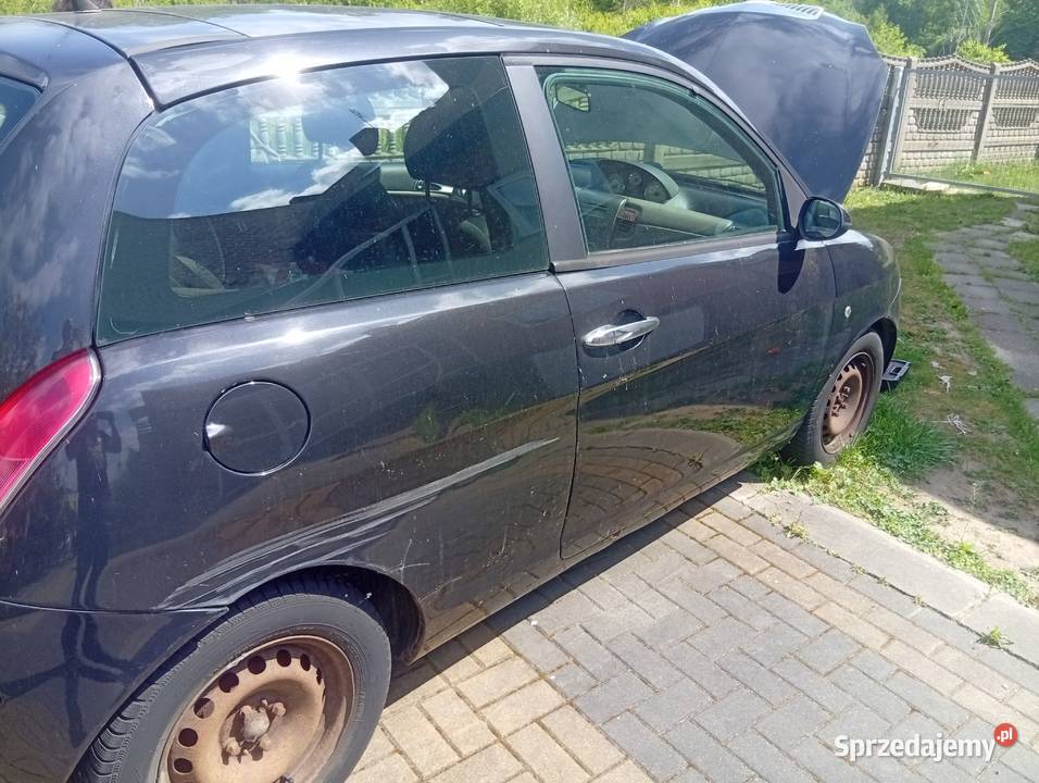 Lancia Ypsilon manualna Częstochowa