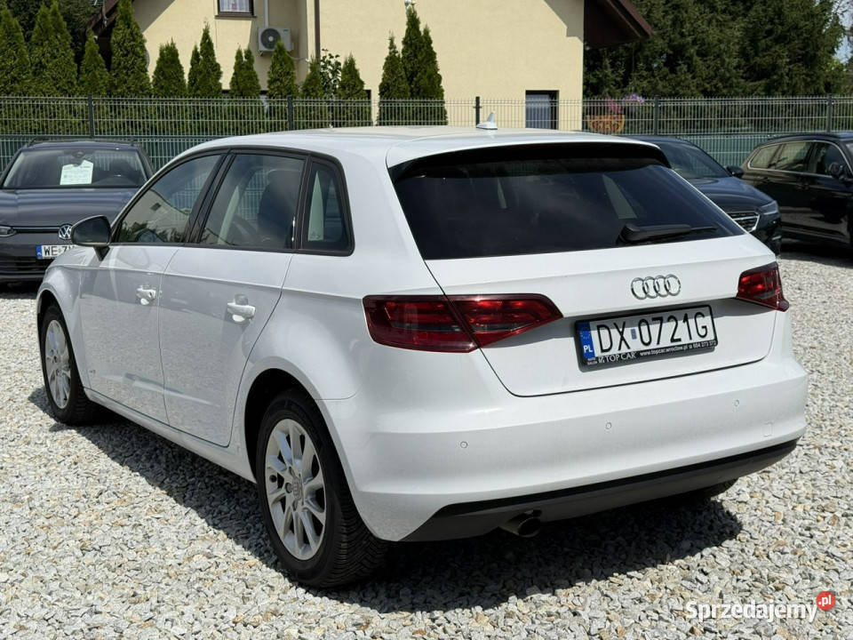 Audi A3 Sportback Audi A3 12 16V TSI 105 2014 światła LED Wrocław