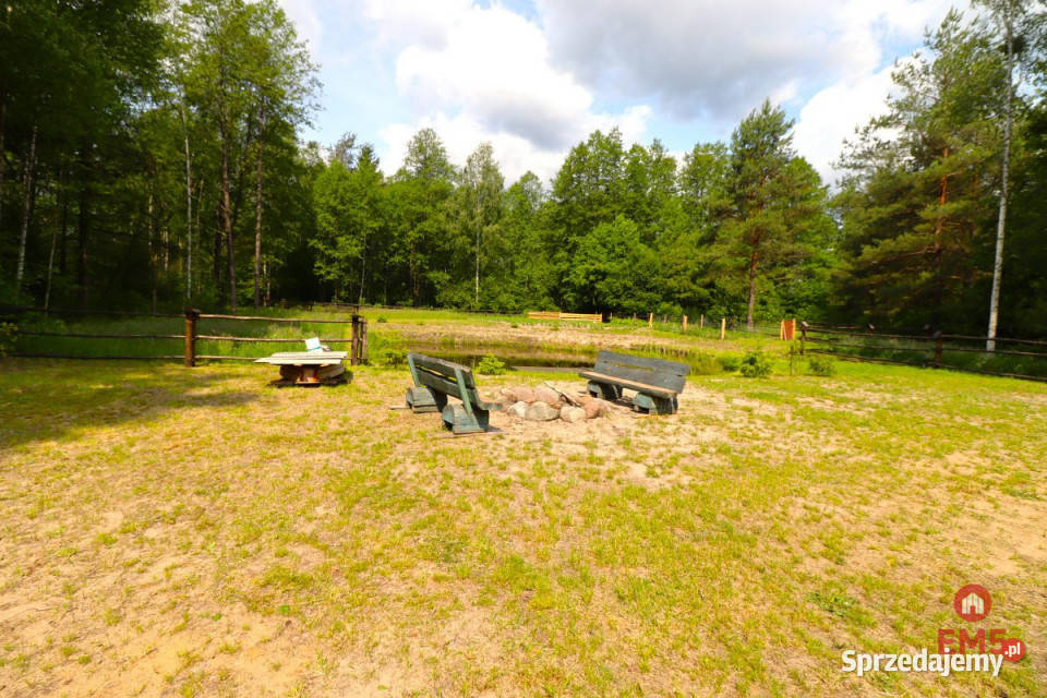 sprzedaży działki 2761m2 Płaska 2761m2 podlaskie