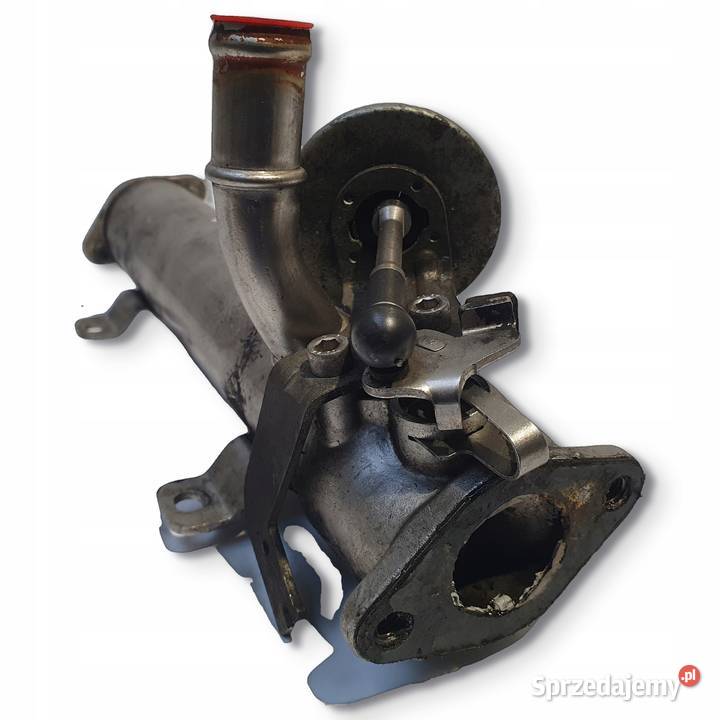 CHŁODNICA SPALIN VW Passat B6 Audi A3 8P 20 TDI Chełm