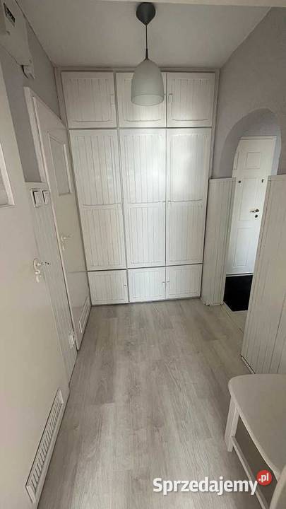 2pok 50met Bajana BALKONPIWNICA2WINDY Wrocław dolnośląskie