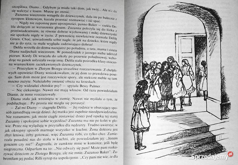 Ania ze Złotego Brzegu Lucy Maud Montgomery Chełm