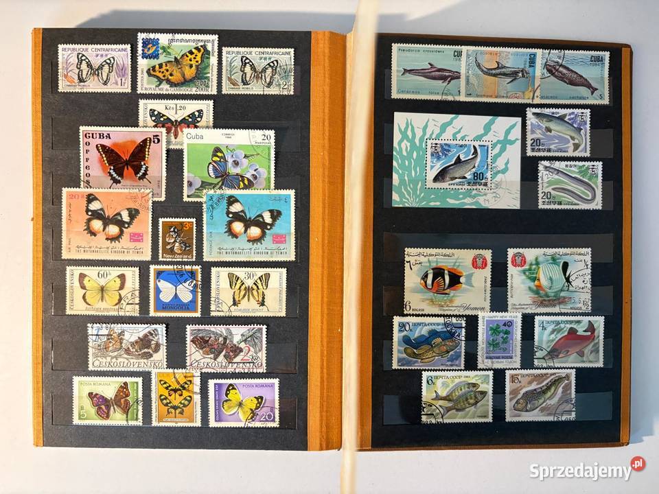 KLASER FLORA i FAUNA Góra