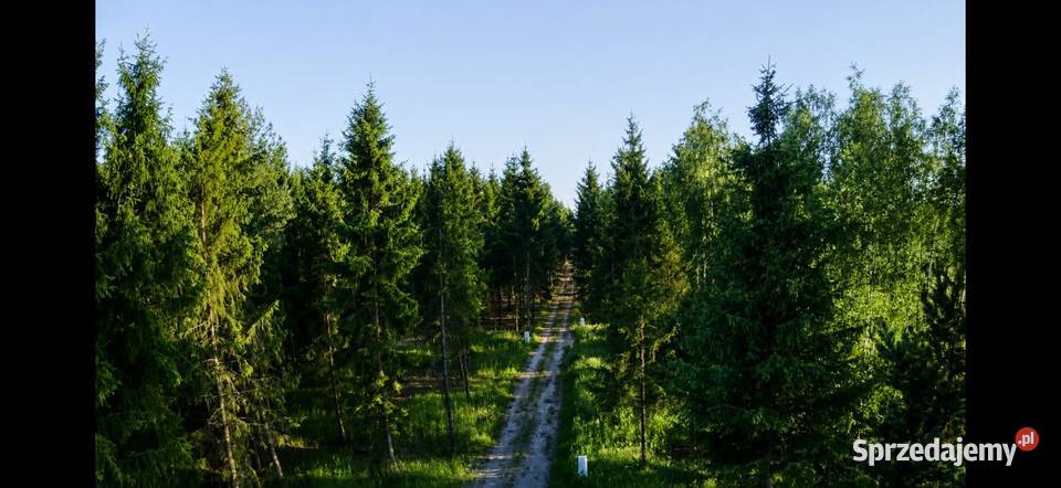 Działka bud 1202M2 WZ STUDNIE